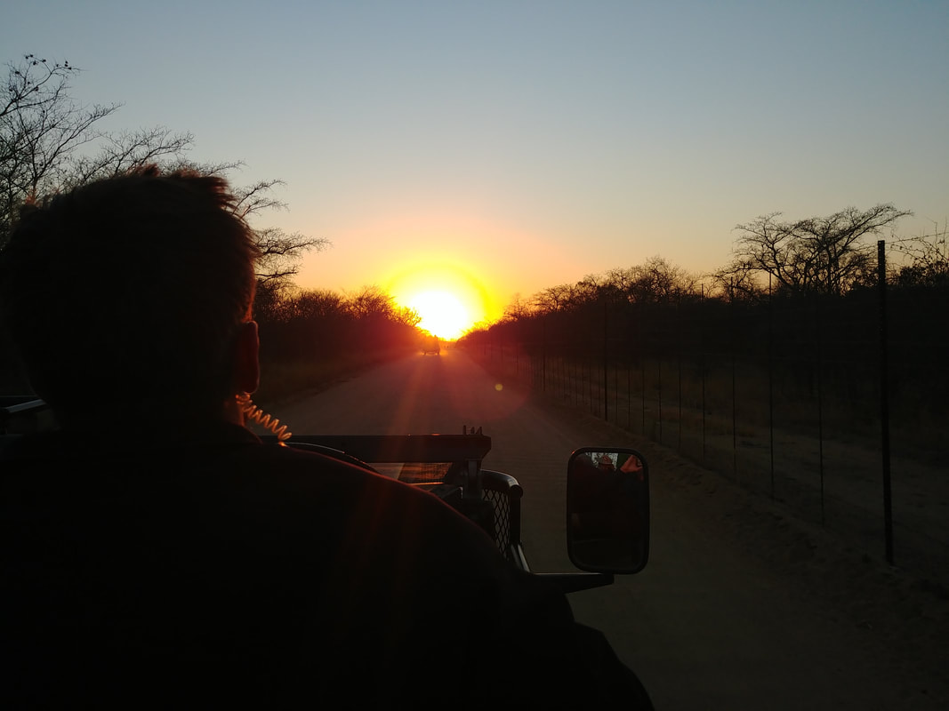 Kapama Private Game Reserve - South Africa Trip Planning