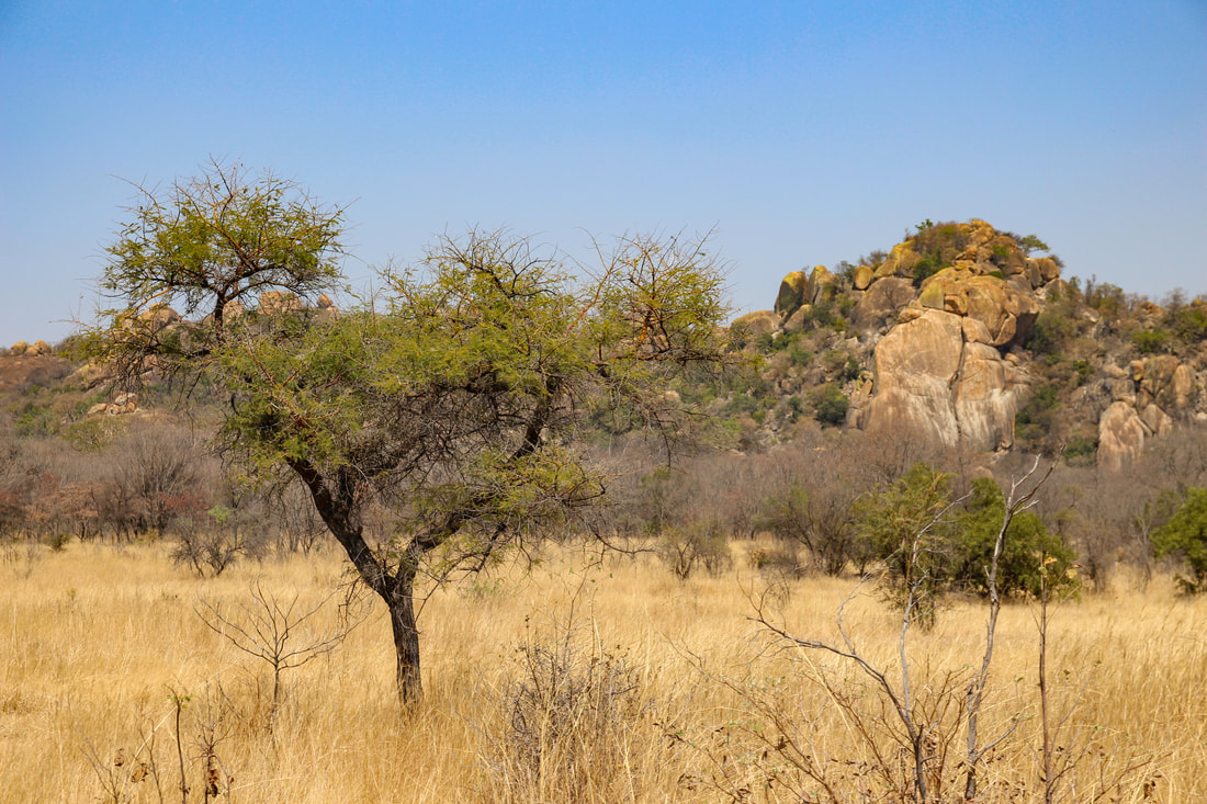 Matopos National Park - Zimbabwe Trip Planning