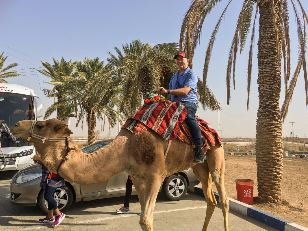 Camel rides - Israel trip planning