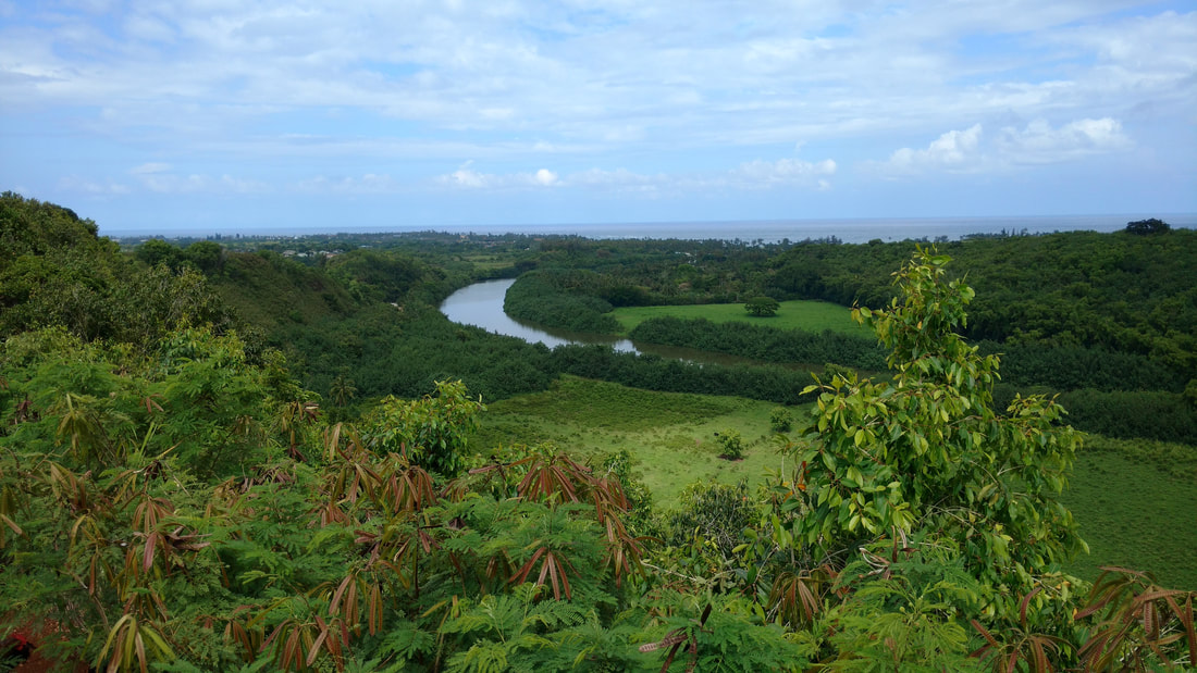 Wailua river