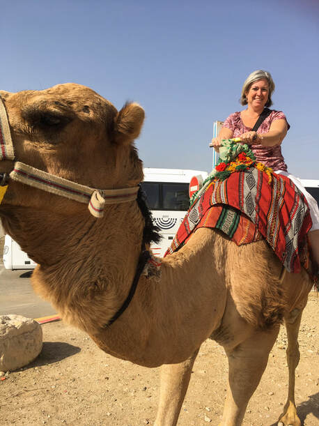 Camel rides - Israel trip planning