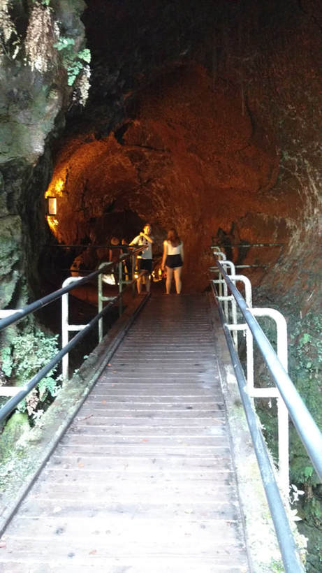 Entrance to the Lava Tube