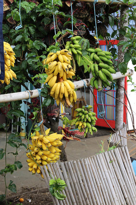 Banana stand